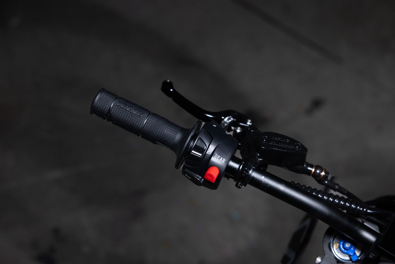Altis Sigma (Limited Edition) Long Range & High Performance Electric Dirt Bike