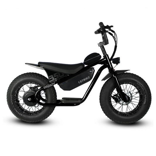 Big Boy 16” by Throne cycles | 36V 350W | Fat Tire E-Bike for Kids/Youth Riders