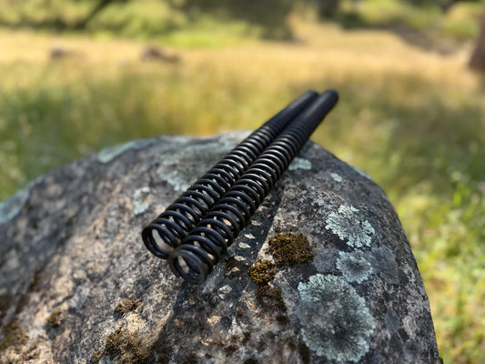 ETM RTR Mod Fork Springs | By Electro & Company