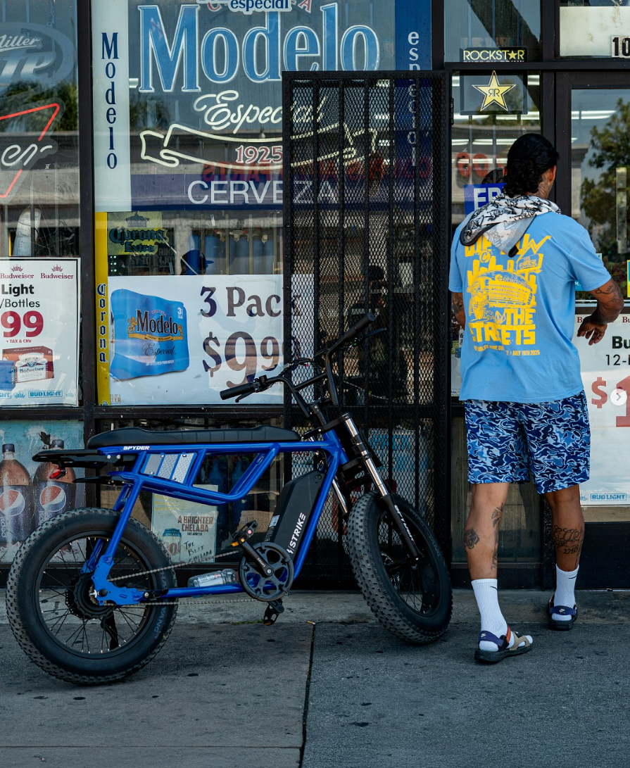 Strike Spyder-500 by Throne Cycles | 48V 500W 13ah | Electric bike