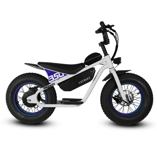 Big Boy 16” by Throne cycles | 36V 350W | Fat Tire E-Bike for Kids/Youth Riders