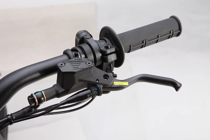 E Ride Pro Replacement Brake Levers
