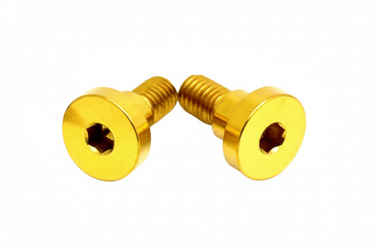 E-Ride Pro SS and S- Titanium Battery Lid Bolts (Two Pcs)