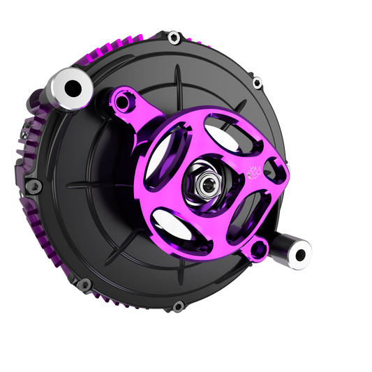 Belt Sprocket Cover | Sur Ron LBX & E-Ride Pro | By Prickly Motorsports