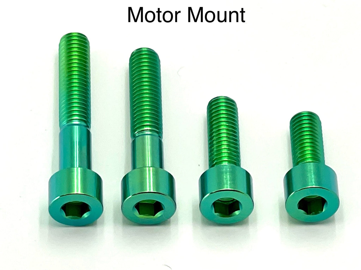 Titanium Motor Bolts - Surron LBS LBX, Segway X160 X260 - REVRides