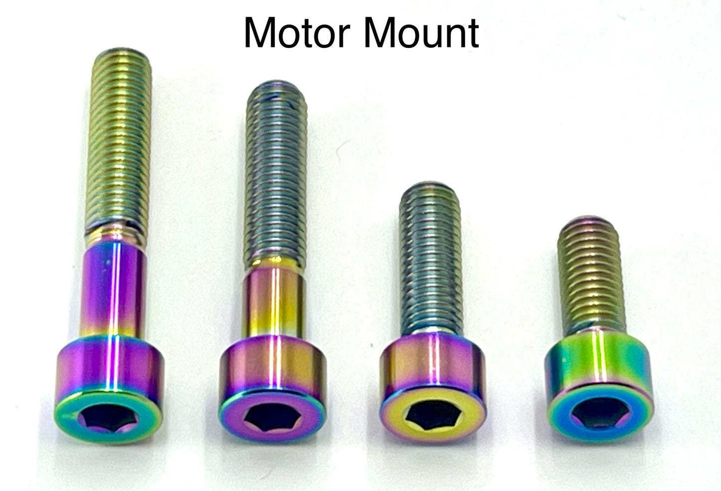 Titanium Motor Bolts - Surron LBS LBX, Segway X160 X260 - REVRides