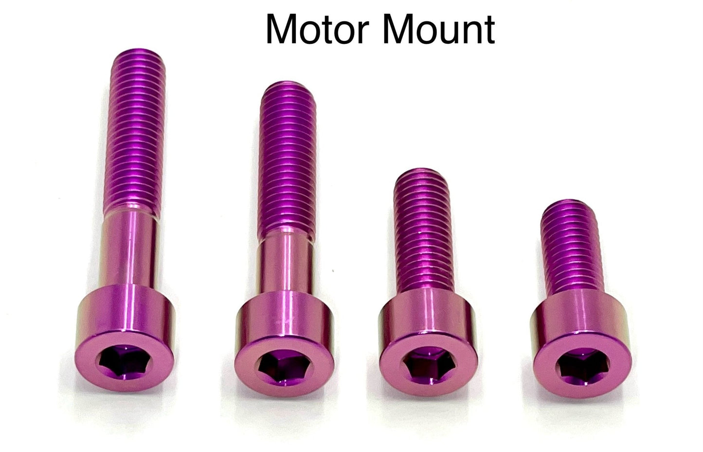 Titanium Motor Bolts - Surron LBS LBX, Segway X160 X260 - REVRides