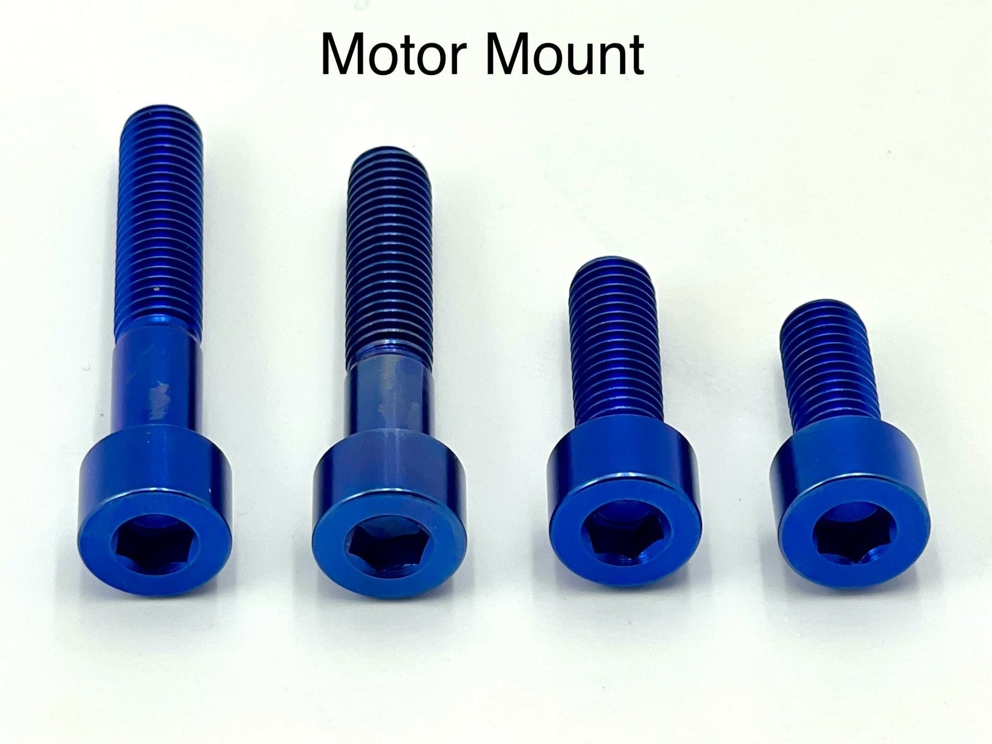 Titanium Motor Bolts - Surron LBS LBX, Segway X160 X260 - REVRides