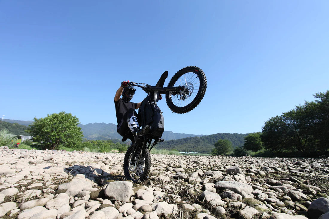 Eride Pro S Parts & Accessories