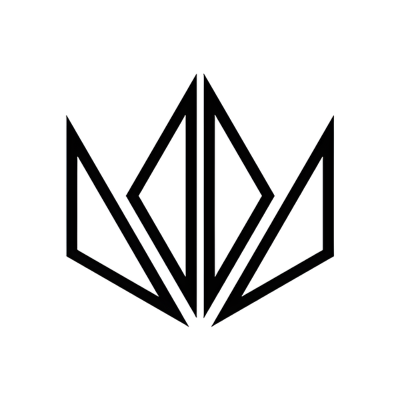 Throne SRPNT Electric Dirt Bikes