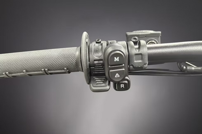 E Ride Pro thumb Throttle