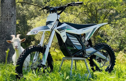 ETM RTR XL by Electro & Co | Electric Pit Bike for Adults