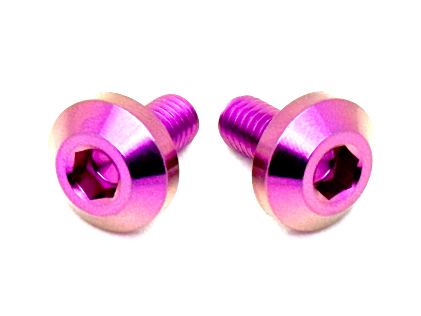Titanium Battery Tray Bolts | (Set of Two) Surron, Segway, E-Ride Pro