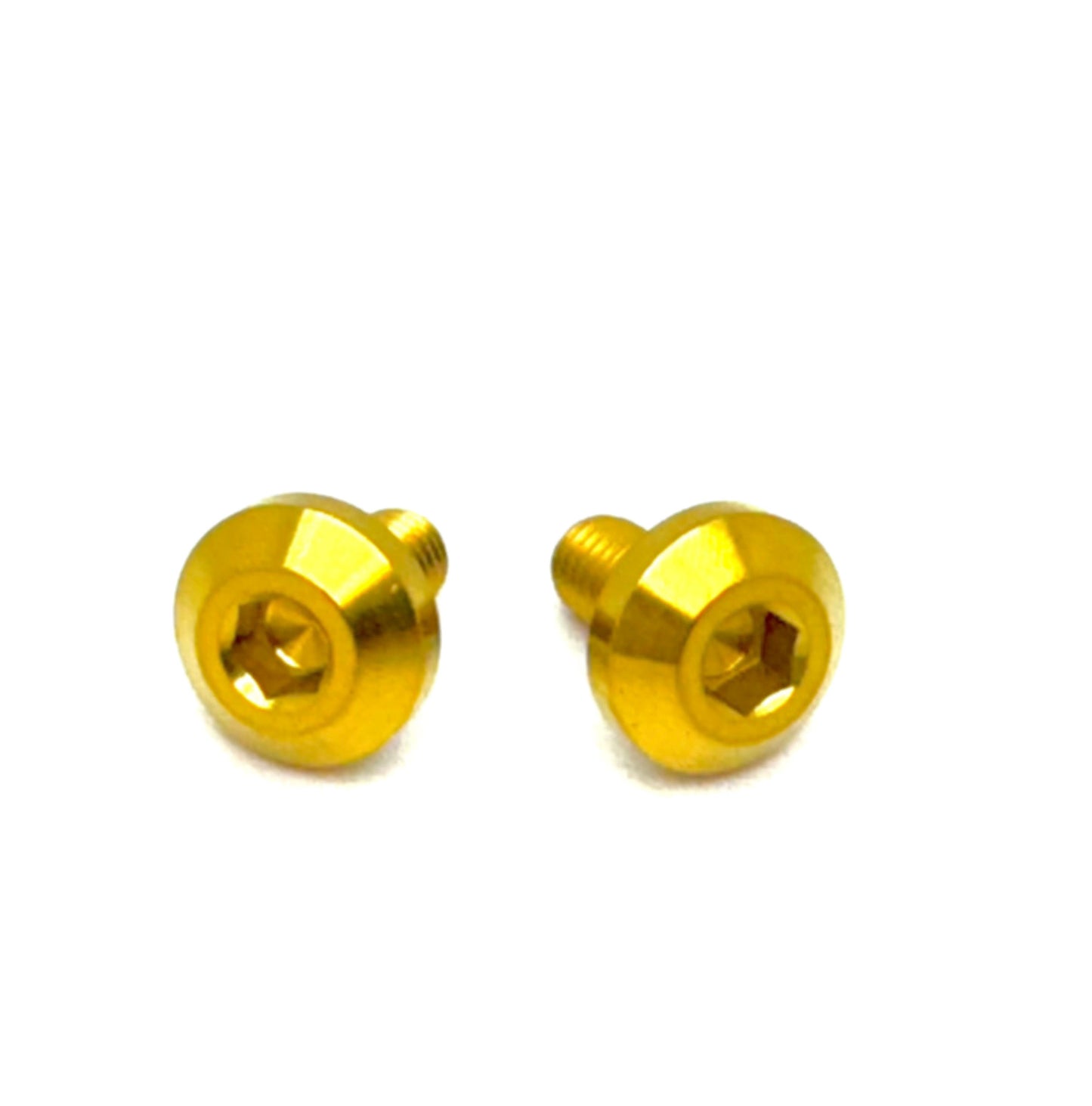 Titanium Battery Tray Bolts | (Set of Two) Surron, Segway, E-Ride Pro