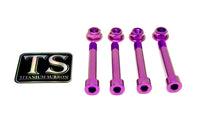 Rear Suspension/ Linkage Titanium Bolt Kit for E-Ride Pro ERP