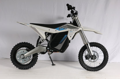 Electro & Co: ETM RTR Electric Minibike for Adults & Kids