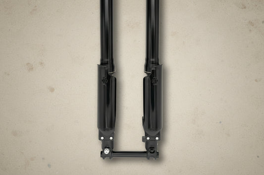 E Ride Pro SS Fast ace fork protector