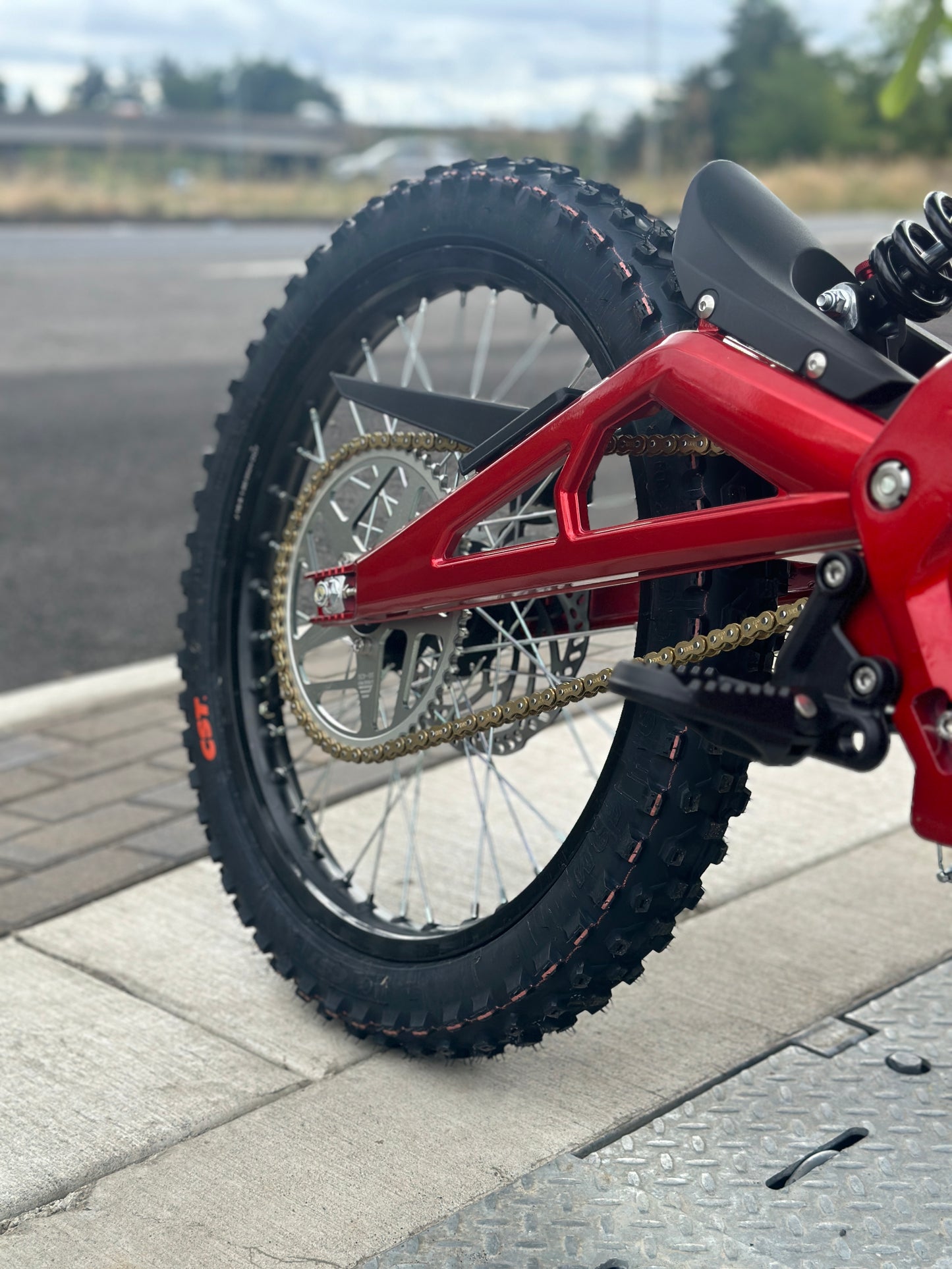 E Ride Pro SS 2.0 (19") Long Range Electric Dirt Bike