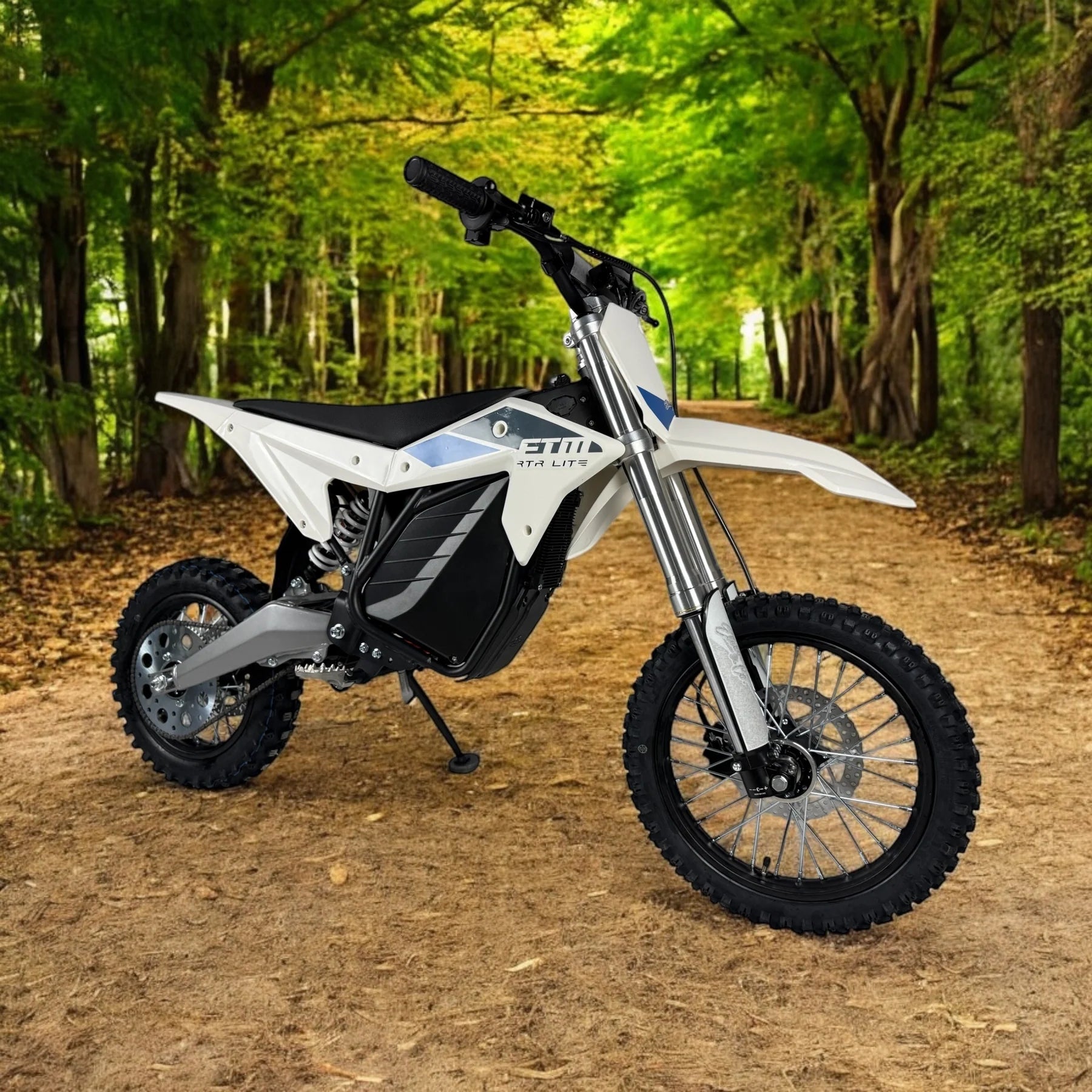 Electro & Co: ETM RTR LITE 60v Electric Minibike for Adults & Kids