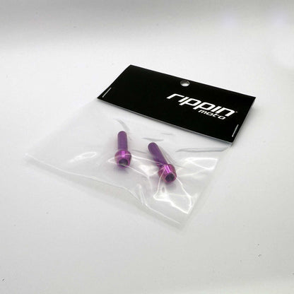 Titanium Caliper Bolts 2-Pack [M6x25mm] By Rippin Moto