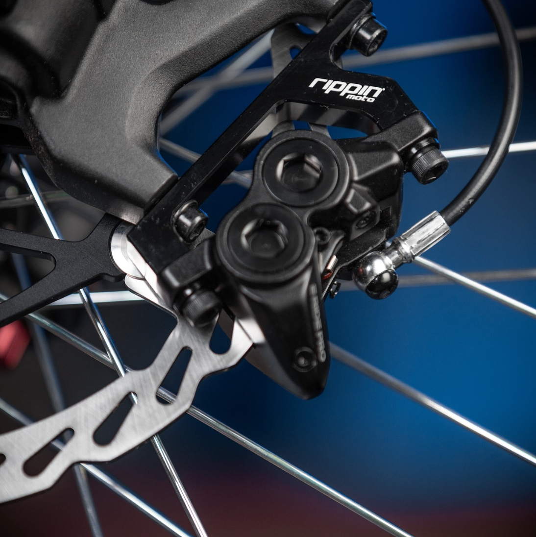 Brake Upgrade Bundle | Eride pro ss 2.0 | Best Bang for your buck!