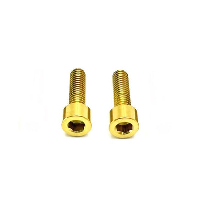 Titanium Motor Shaft Cover Bolts (Set of Two) Surron, Talaria, Segway, 79 Bike