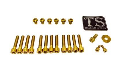 Titanium Fork Bolt Kit | Sirris F43 Suspension Fork (22 Pieces)