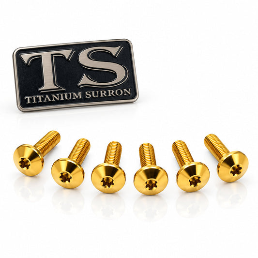 Titanium Front Rotor Screws - Surron, Talaria, Segway, 79 Bike, Rerode, E-Ride