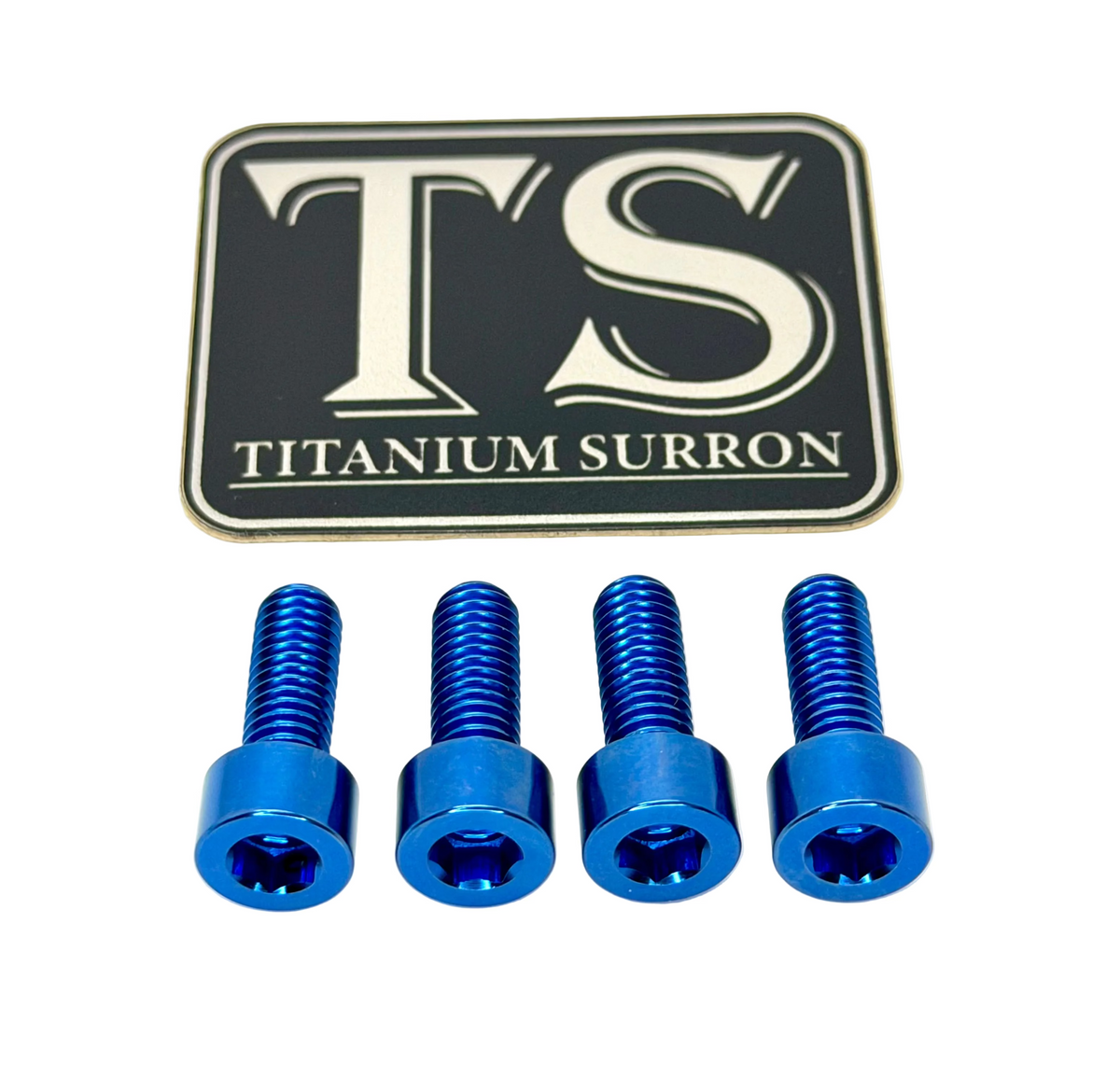 Surron LBX Controller Mount bolts