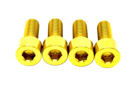 Titanium Seat Subframe Bolts | E-Moto Rear Subframe Hardware