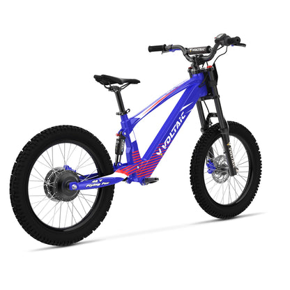 Voltaic Youth Electric Dirt Bike 20'' Flying Fox 48V