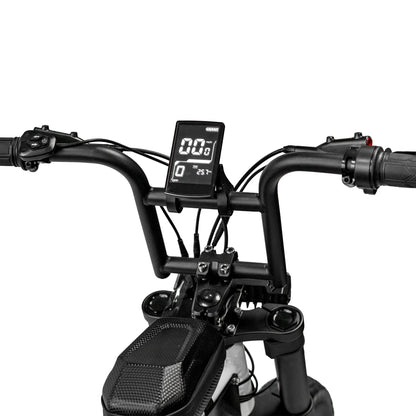 Rhino 750 by Throne Cycles | 48V 750W 20Ah Fat Tire Electric Bike