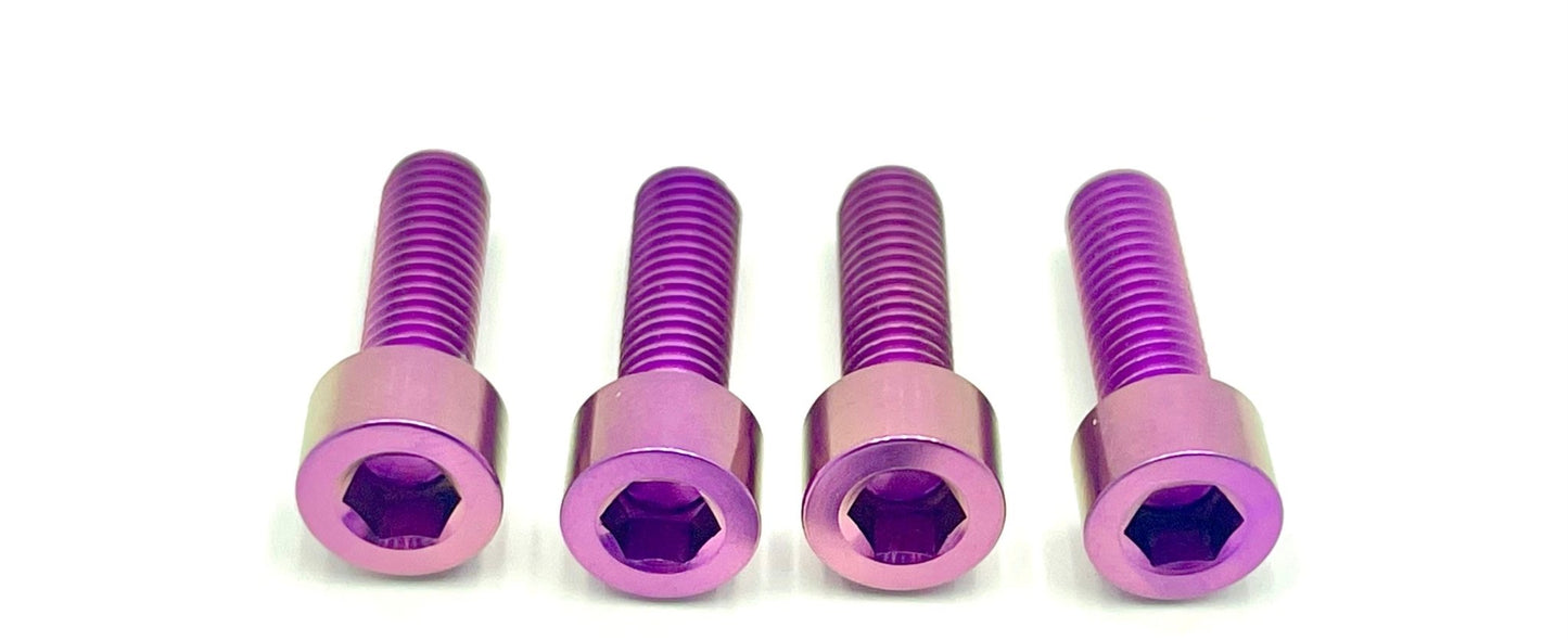 Titanium Axle Pinch Bolt Kit | FastAce ALX32RC Forks, E-Ride Pro SS 3.0 & SR