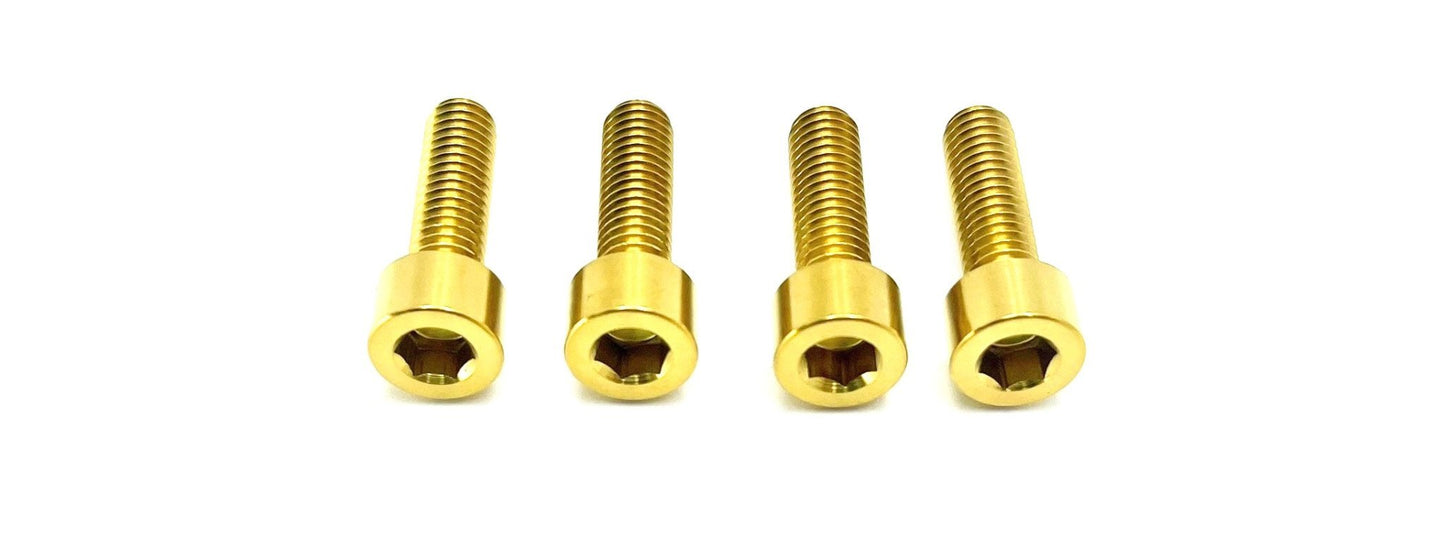 Titanium Axle Pinch Bolt Kit | FastAce ALX32RC Forks, E-Ride Pro SS 3.0 & SR