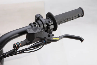 E Ride Pro Replacement Brake Levers
