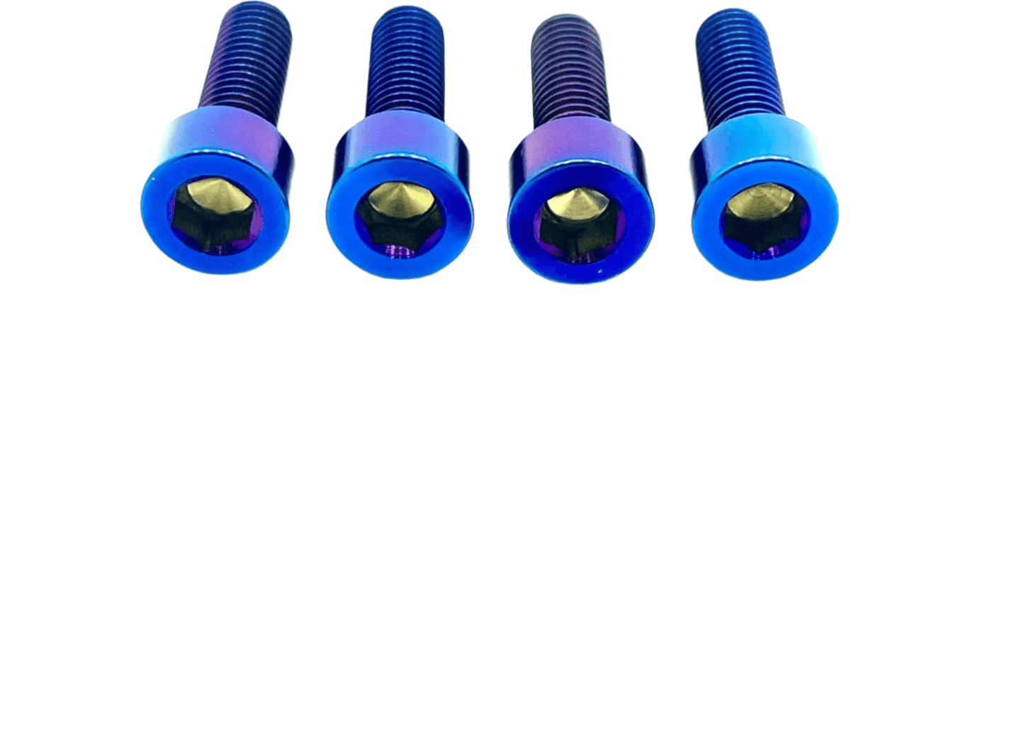 Titanium Caliper Bolt Kit for Surron, Talaria, Segway, 79 Bike