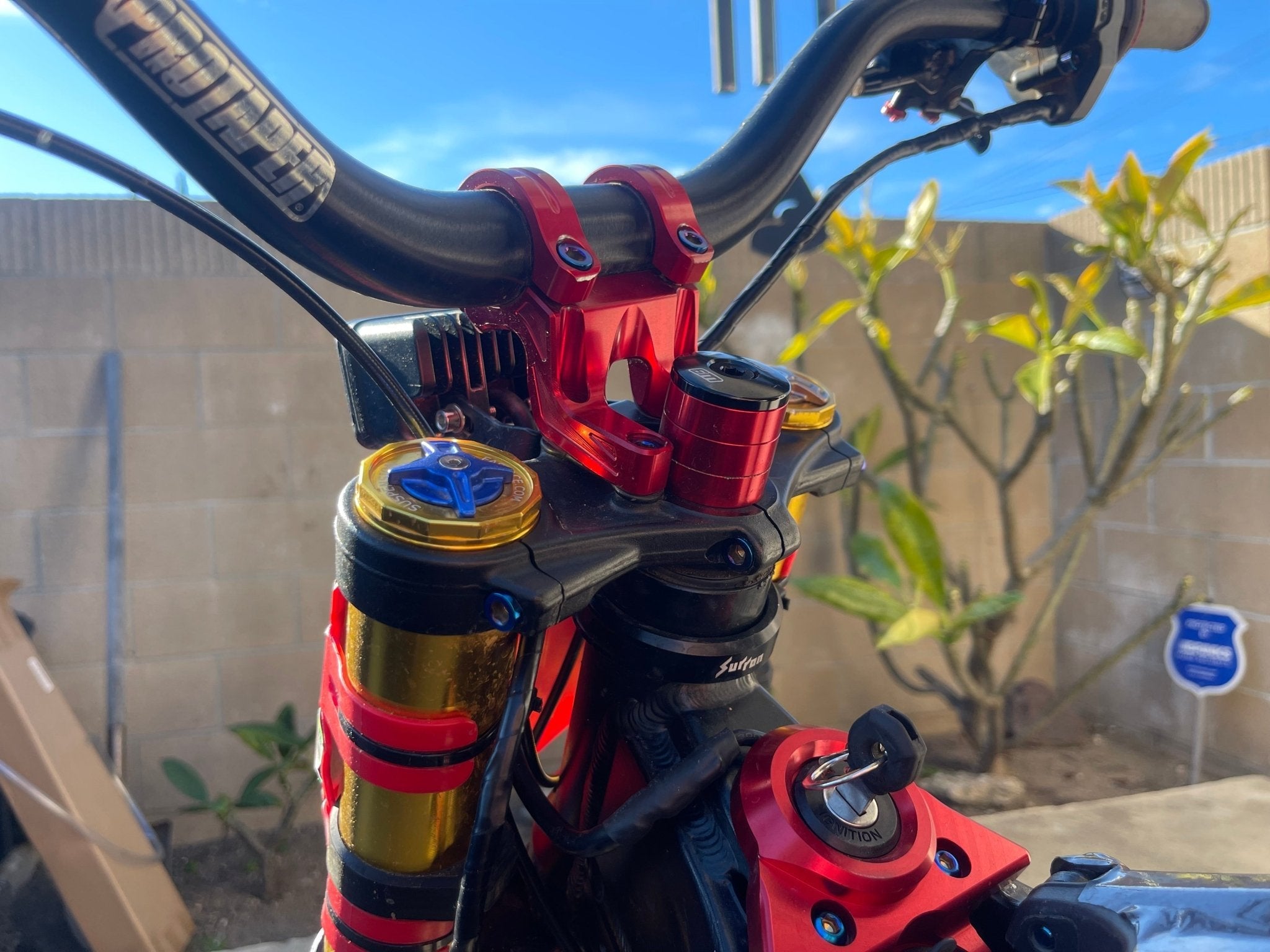 Custom Titanium Direct Mount Stem Bolt Kit for Surron, Eride pro, Tala ...