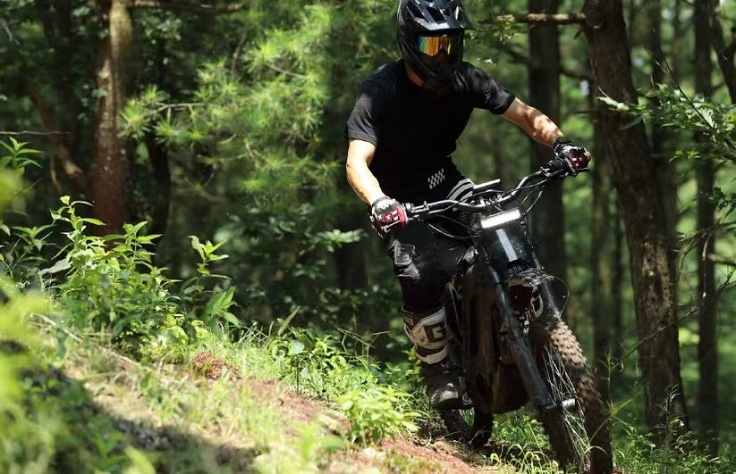 Rev Rides E Ride PRO-S (17
