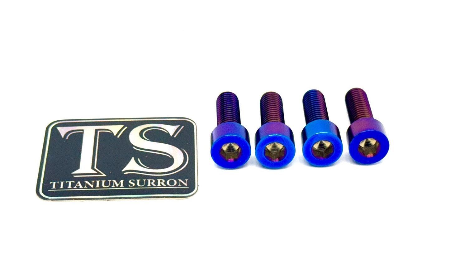 Titanium Peg Bracket Bolts - Surron LBX and Segway (Set of 4)