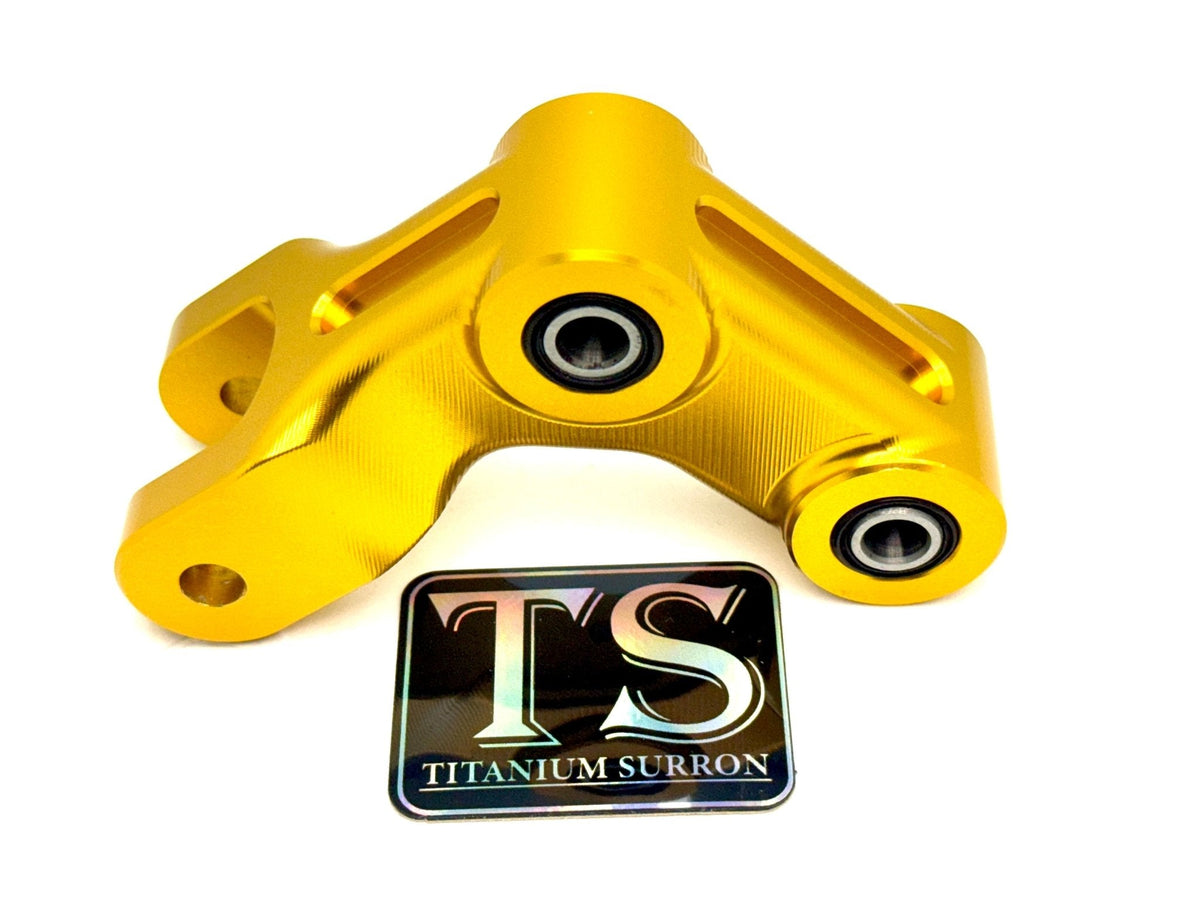 Raider Arm Rocker E-Ride Pro Custom Rear Suspension Rocker Arm – REVRides
