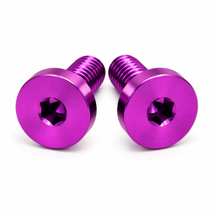 E-Ride Pro SS and S- Titanium Battery Lid Bolts (Two Pcs)
