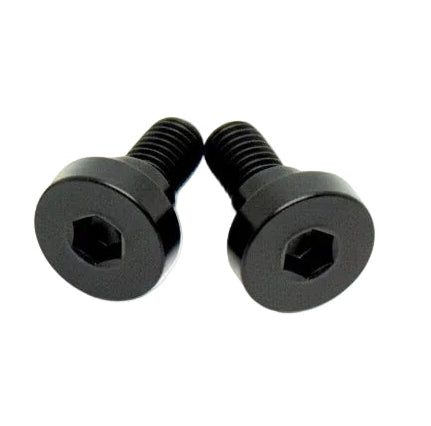 E-Ride Pro SS and S- Titanium Battery Lid Bolts (Two Pcs)