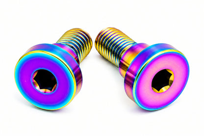E-Ride Pro SS and S- Titanium Battery Lid Bolts (Two Pcs)