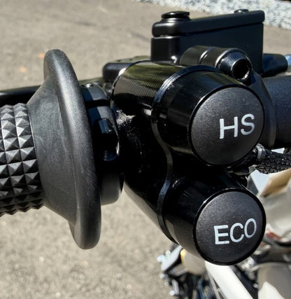 ETM RTR XL by Electro & Co | Electric Pit Bike for Adults