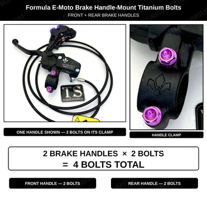 Titanium Brake Handle Mount Bolts | Formula E-Moto Brakes