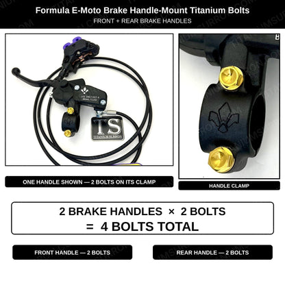 Titanium Brake Handle Mount Bolts | Formula E-Moto Brakes