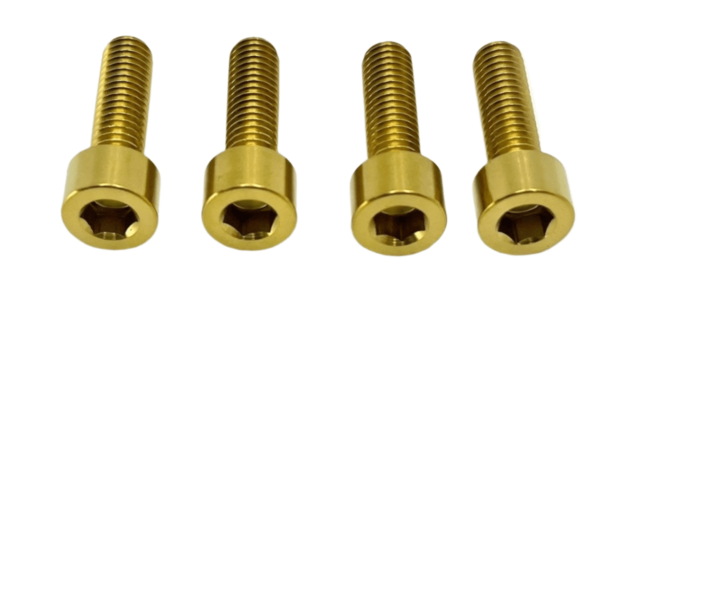 Titanium Caliper Bolt Kit for Surron, Talaria, Segway, 79 Bike