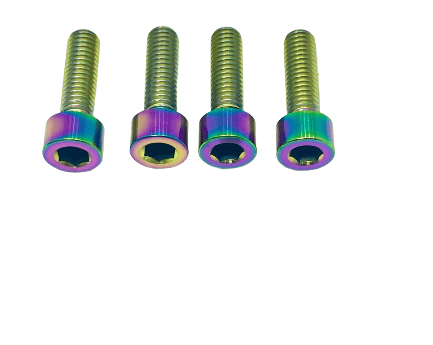 Titanium Caliper Bolt Kit for Surron, Talaria, Segway, 79 Bike