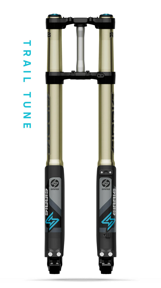 Sirris F43 246mm Fork | LSC | for Surron Ultra Bee with Trail Tune