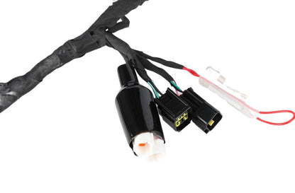 Surron LBX OEM Electrical Wiring Harness